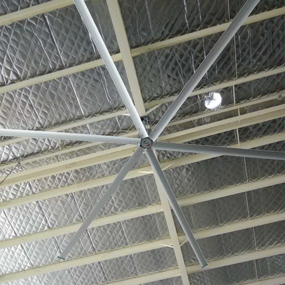 fan de plafond de 11ft 1000mm/3.4m fan de plafond de 6 lames pour l'atelier industriel