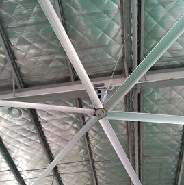 Grandes fans de plafond AWF49/grandes fans de plafond industrielles avec 6 lames